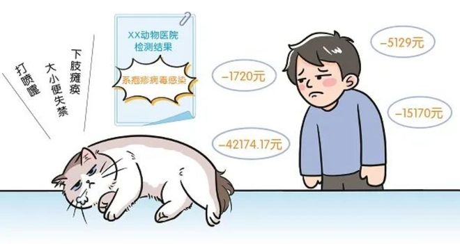 3萬買貓后續(xù)治療費6萬法院判了！(圖3)